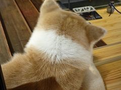 -YCHL Studios健身工作室(市二宫店)