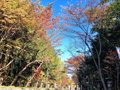-北海道神宫