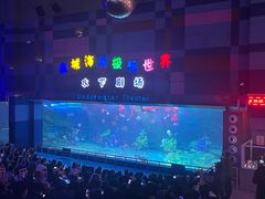 -泉城欧乐堡海洋极地世界