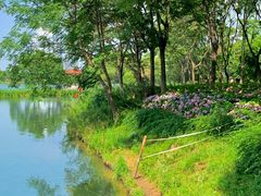 -金银湖国家城市湿地公园