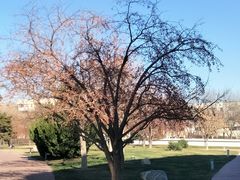 -北京国家会计学院