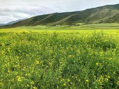 -扁都口生态休闲旅游区