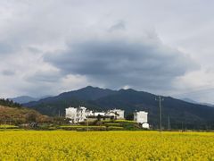 -婺源风景区