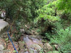 -火炉山森林公园