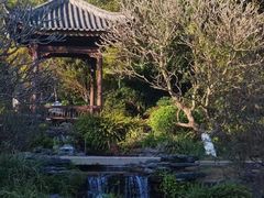 -番禺大夫山森林公园