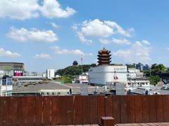 -老宅藕香·湖北菜·非遗藕汤·武昌鱼(黄鹤楼景观店)