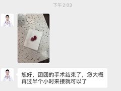 -宠爱国际动物医院·消化内科·心肾内科·ISFM猫友好(望京店)