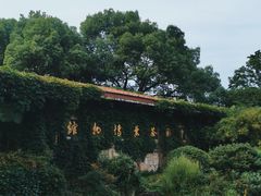 -中国茶叶博物馆(双峰馆区)