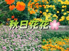 -句容茅山景区