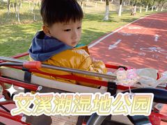 -艾溪湖湿地公园