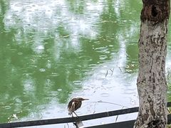 -花溪公园