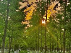 -汉长安城未央宫国家考古遗址公园