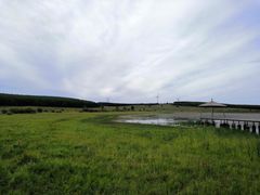 -塞罕坝国家级自然保护区