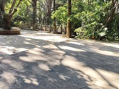 -水濂山森林公园