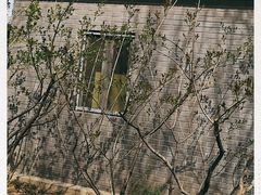 -中粮丰通（北京)食品有限公司
