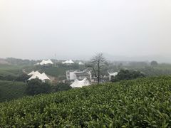 -帐篷客·溪龙茶谷度假酒店