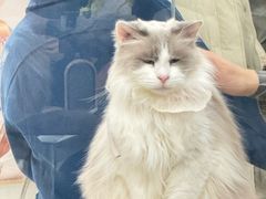 -共舞时光猫咖·狗咖(新街口店)