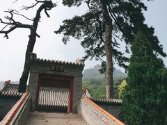 -妙峰山风景名胜区