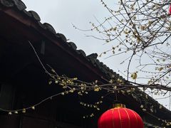 -峨眉山报国寺