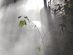 -云丘山景区