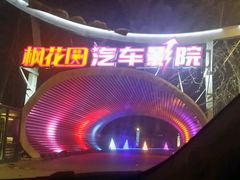-枫花园汽车电影院(朝阳公园店)