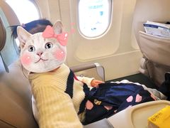 -海南海航航空信息系统公司