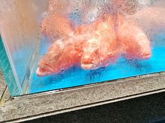 -阿明小菜·海鲜·上海菜(梅陇店)