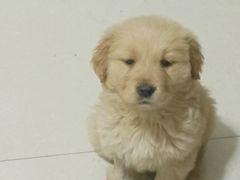 -佳怡动物医院·平价24小时·猫专科骨外科