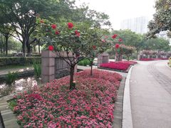 -荆川公园