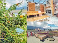 -喵屿·大理花园猫咖