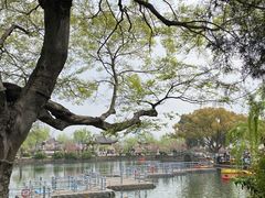 -无锡蠡湖国家湿地公园-蠡园