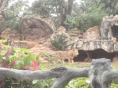 -海南热带野生动植物园