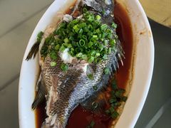-七鲜渔港美食餐厅(巽寮湾海景店)