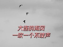 -星海广场