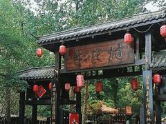 -合肥滨湖国家森林公园