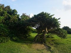 -鹅銮鼻公园