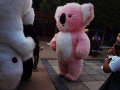 -南戴河国际娱乐中心