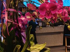 -连鹭海鲜·海肠捞饭·海胆饭(星海店)