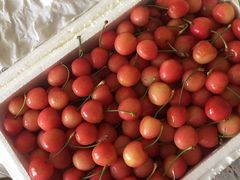 -西郊国际农产品交易中心