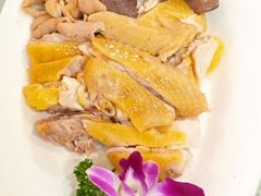 -百姓百味海鲜酒楼(粤垦路总店)