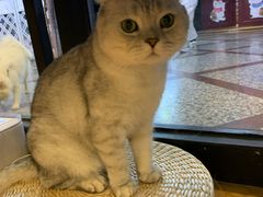 -常来茶·水果研究所(西溪里店)