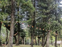 -人民公园(罗湖区)