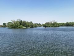 -莱西月湖公园