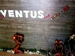 -ventus spa 沙巴亚庇正宗精油按摩会所