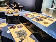 -广东中医药博物馆