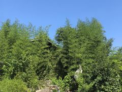 -丽泽山庄·生态怀柔菜·虹鳟鱼(红螺寺店)