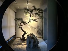 -山塘渡·苏式园林餐厅