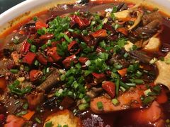 -鑫巴蜀小镇 · 水煮鱼专研店(玉桥店)