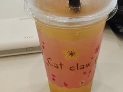 -Let's go狗咖·猫咖·奶狗·桌游(春熙路IFS店)