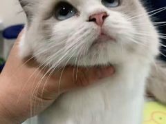 -子乐宠物医院
